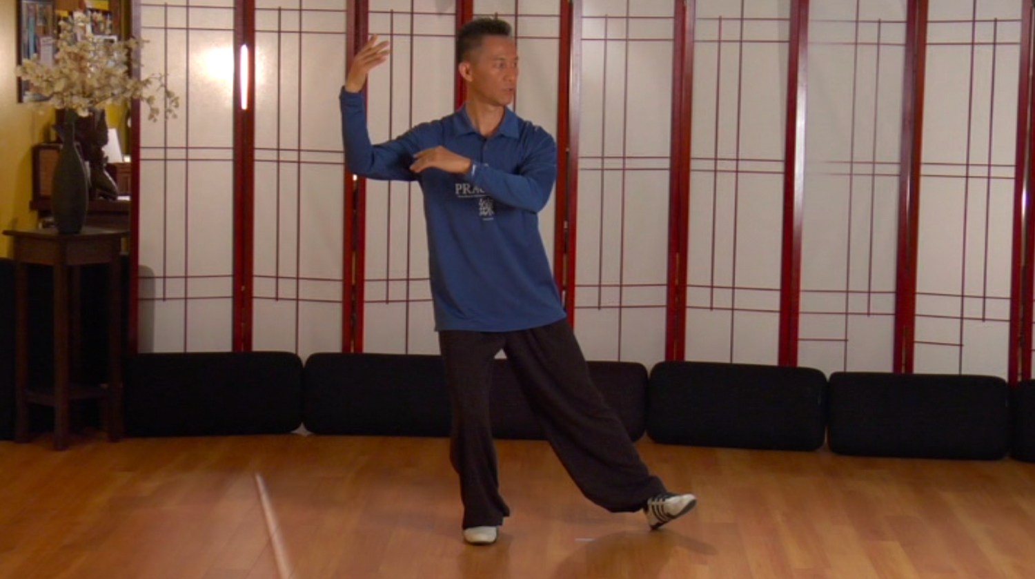 Simplified 10 Form Taijiquan DVD by Kin (Preowned)