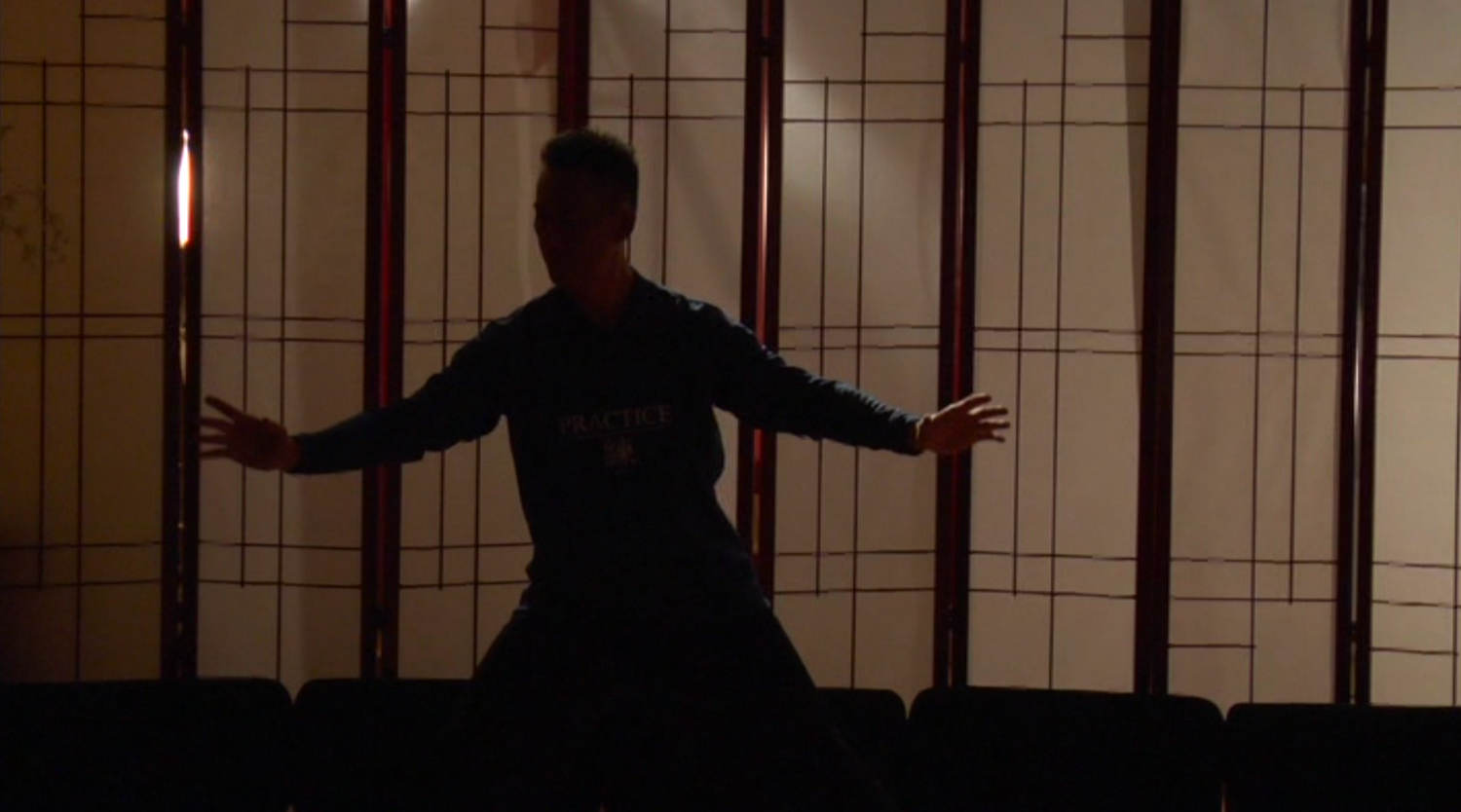 Simplified 10 Form Taijiquan DVD by Kin (Preowned)