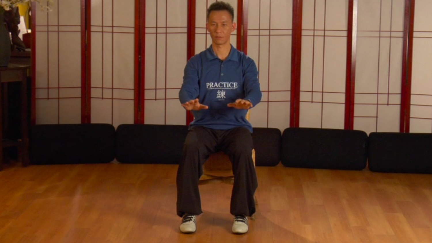 Simplified 10 Form Taijiquan DVD by Kin (Preowned)