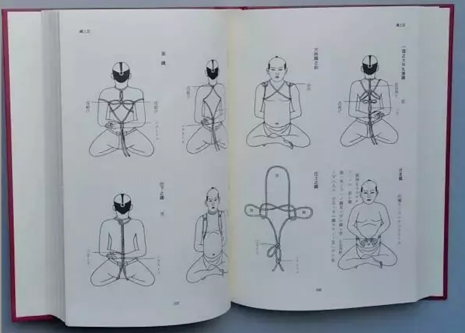 Collected Works of Seiko Fujita 4 Book Set (Hardcover) (Preowned)