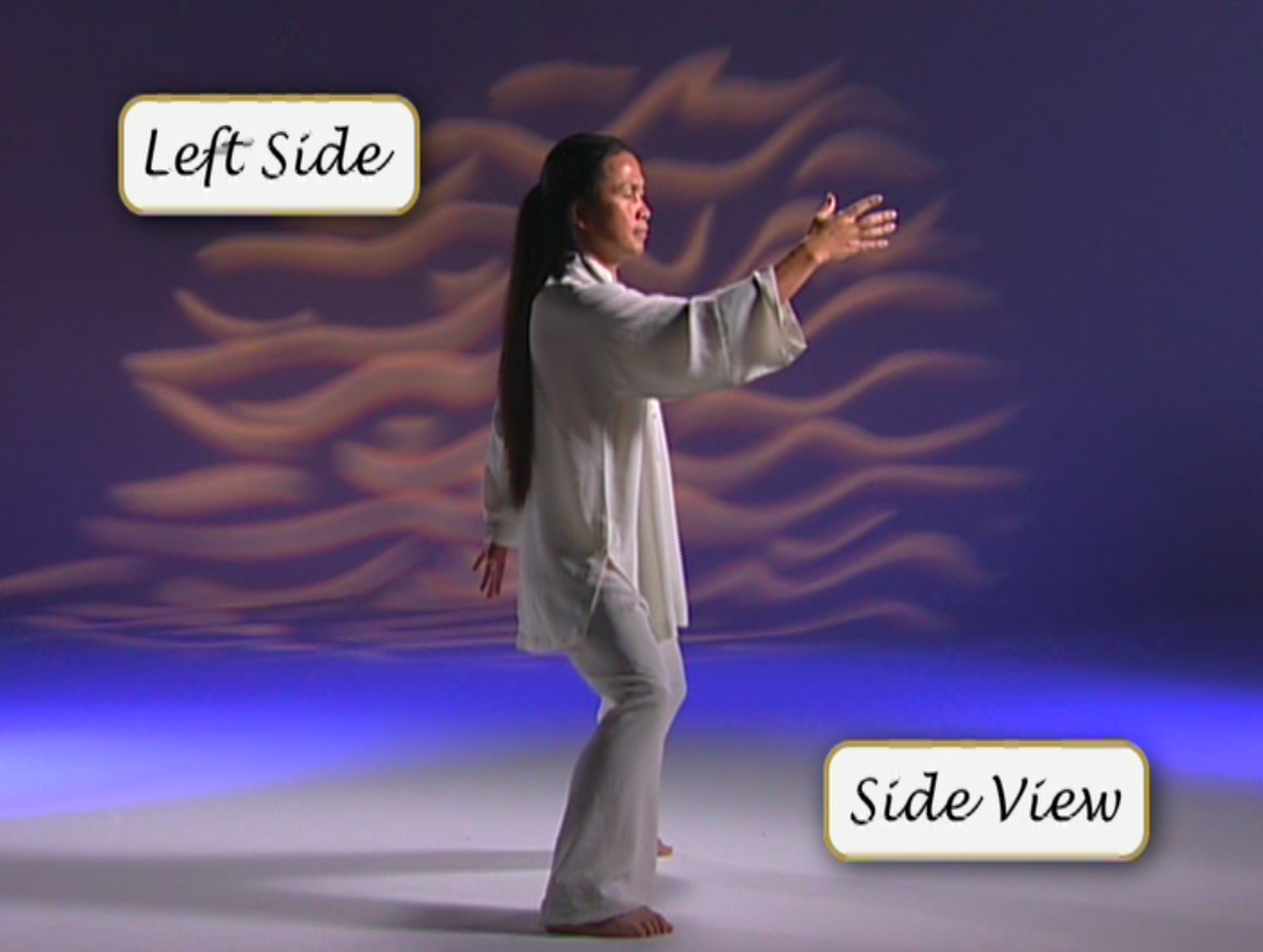 Chinese Shamanic Tiger Qigong DVD by Zhongxian Wu