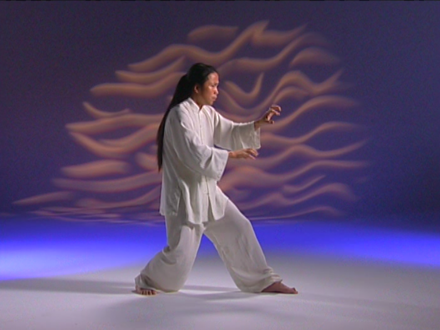 Chinese Shamanic Tiger Qigong DVD by Zhongxian Wu