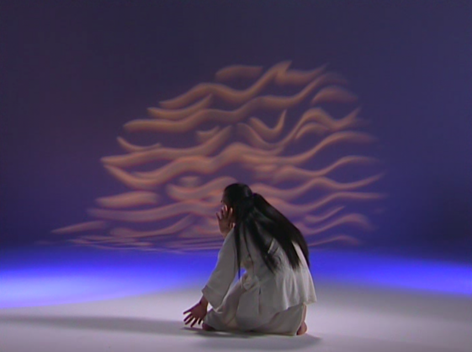 Chinese Shamanic Tiger Qigong DVD by Zhongxian Wu (Preowned)