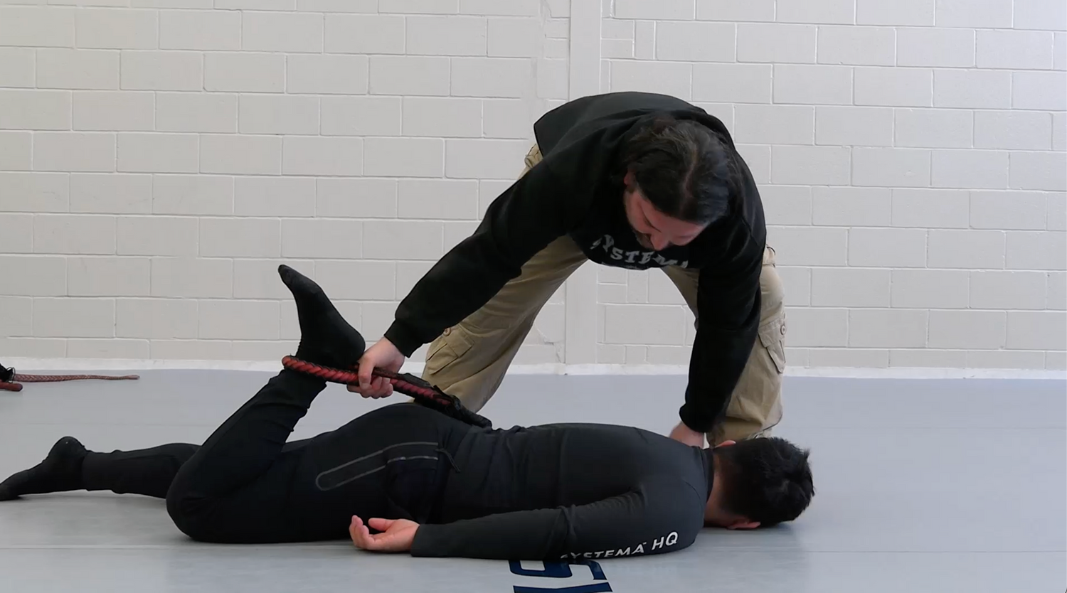 Systema Massage Tools DVD by Adam Zettler