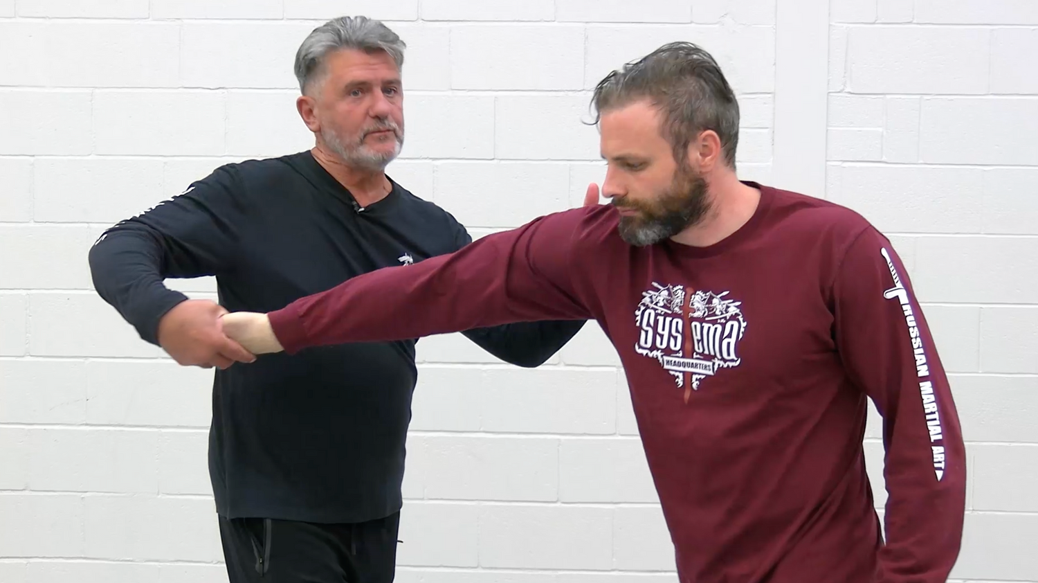 Systema: The Wave Principle DVD by Vladimir Vasiliev