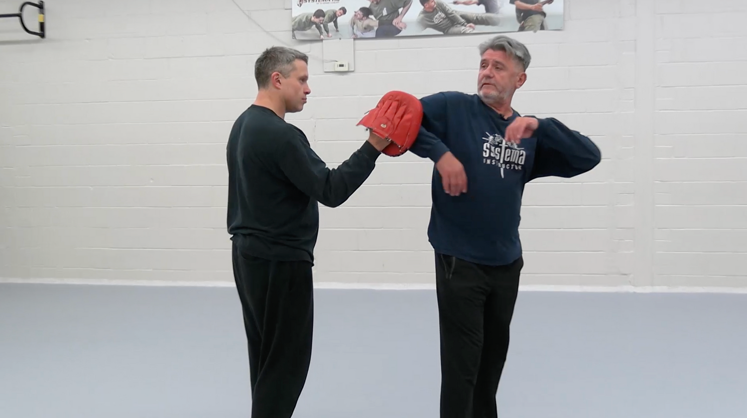 Systema: The Wave Principle DVD by Vladimir Vasiliev