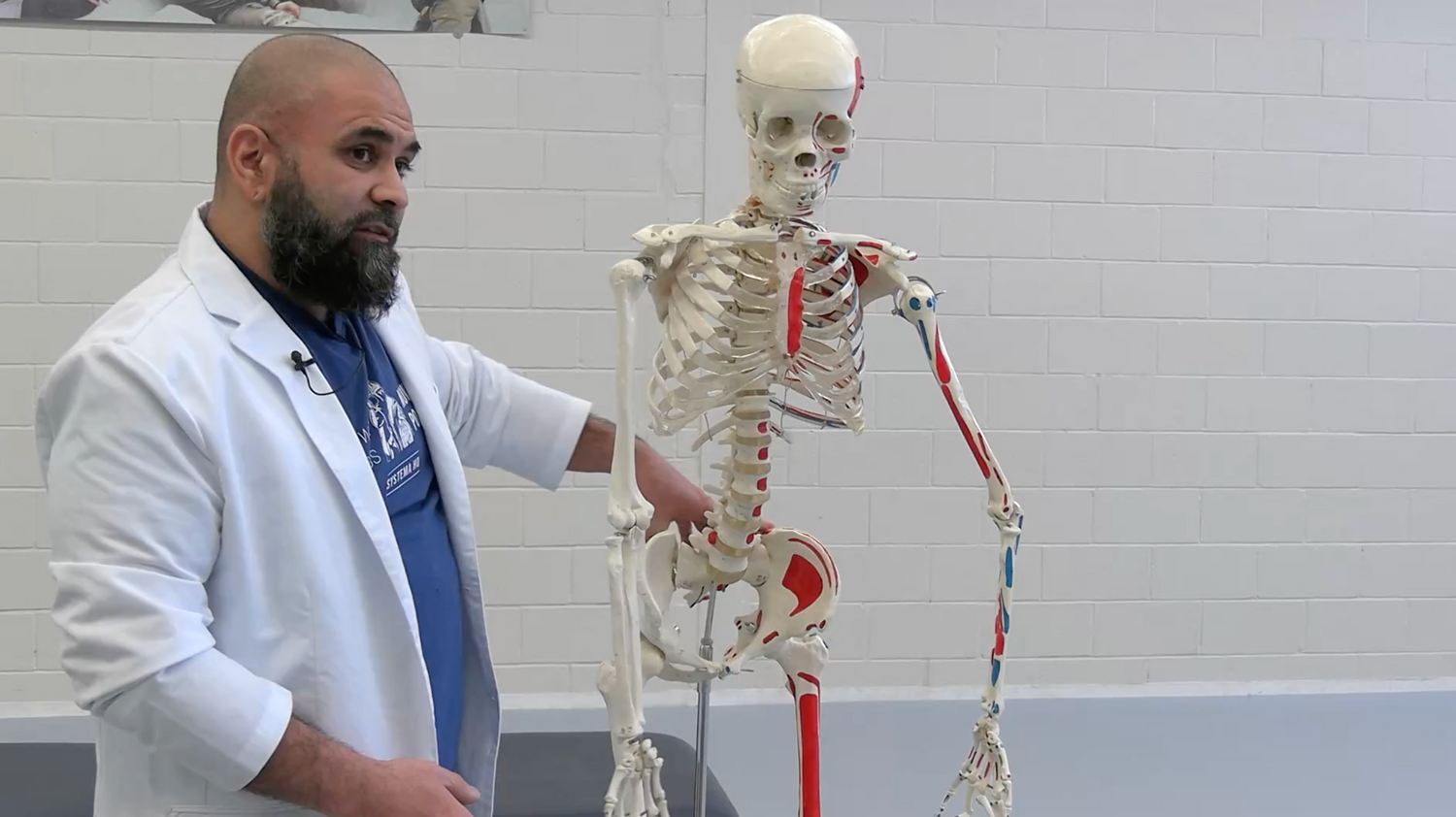 Systema Body Alignment DVD by Meer Janjua