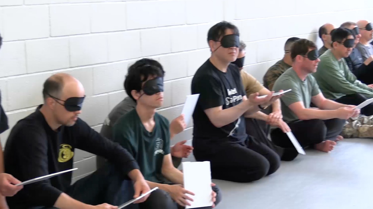 Systema Blindfolded Sensitivity Training DVD by Pete Rogers