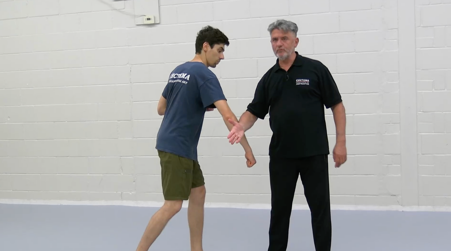 Systema The Power of Fullness DVD by Vladimir Vasiliev