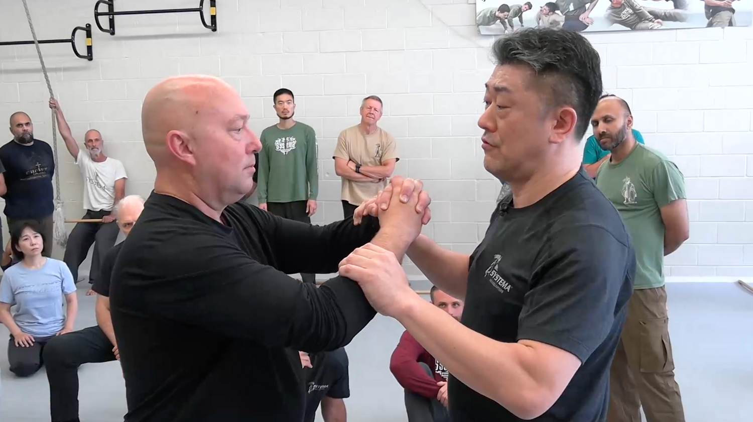 Systema Sensitivity & Weapons DVD by Ryo Onishi & Vladimir Vasiliev