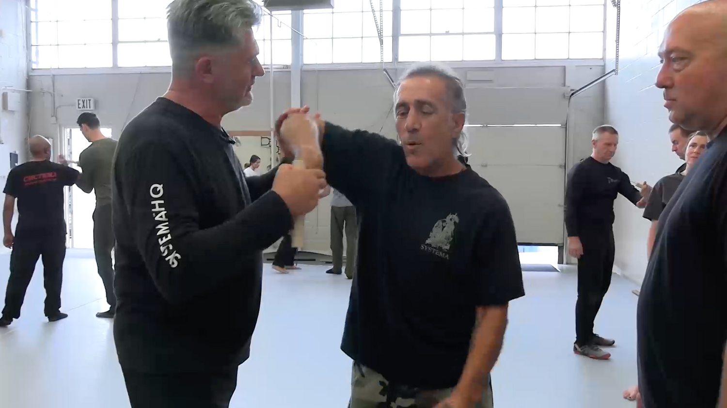 Systema Sensitivity & Weapons DVD by Ryo Onishi & Vladimir Vasiliev