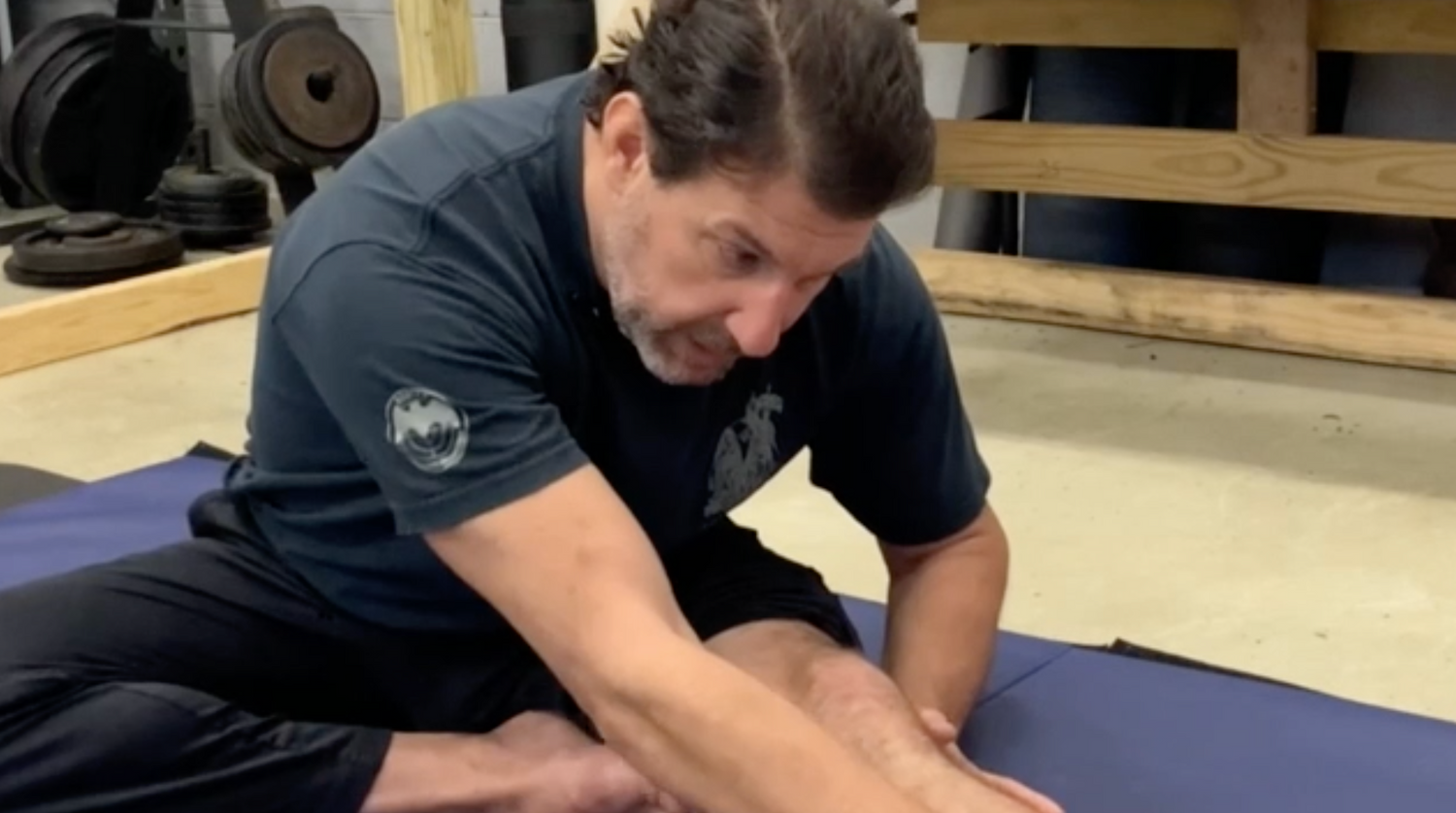 Systema Reset the Knees DVD by Bill Parravano