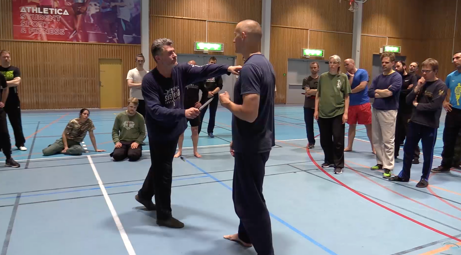 Systema Blade Control DVD by Vladimir Vasiliev