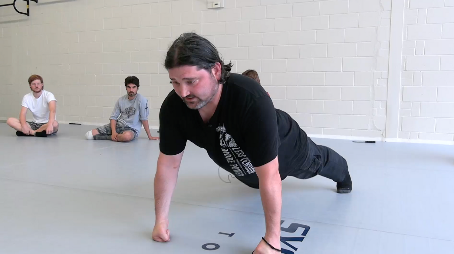 Systema Exercise at Full Range DVD by Adam Zettler