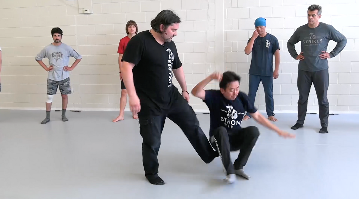 Systema Exercise at Full Range DVD by Adam Zettler