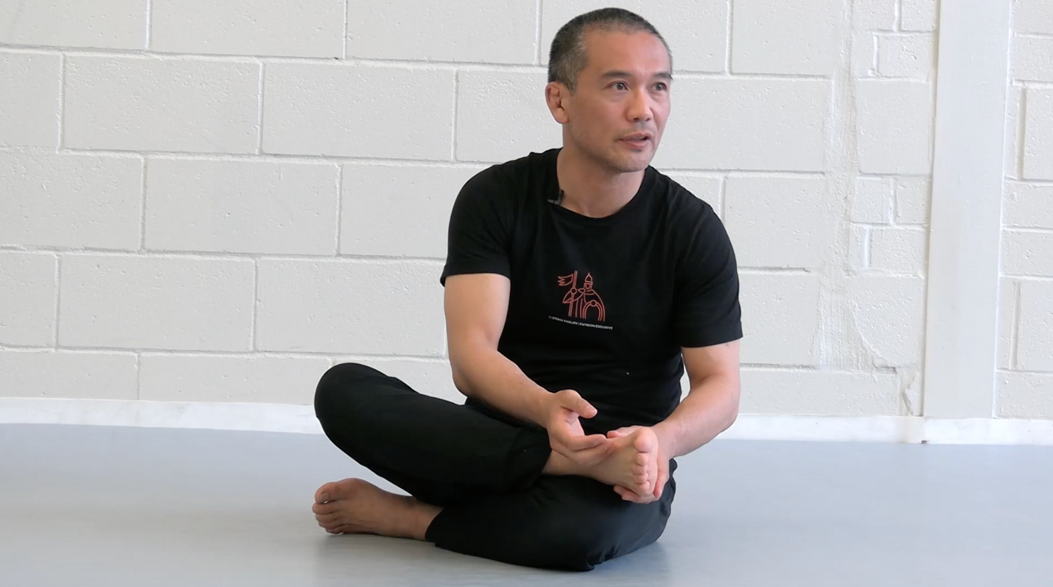 Systema: The Ankle: At the Base of Tension DVD by Taka Kitagawa