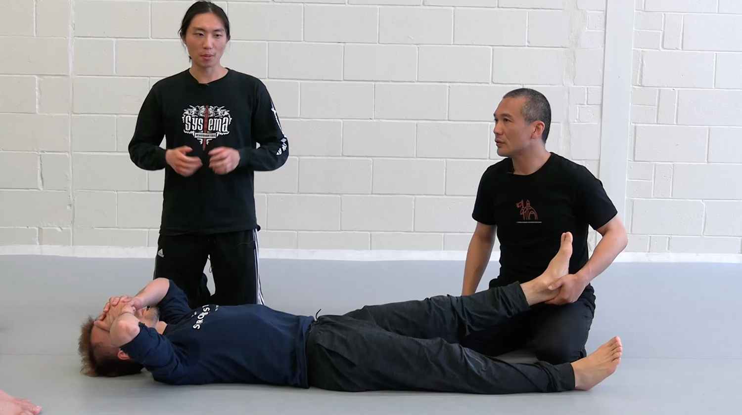Systema: The Ankle: At the Base of Tension DVD by Taka Kitagawa