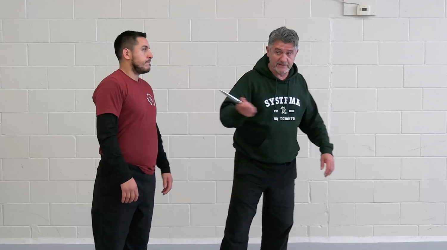 Systema Concise Movement DVD by Vladimir Vasiliev