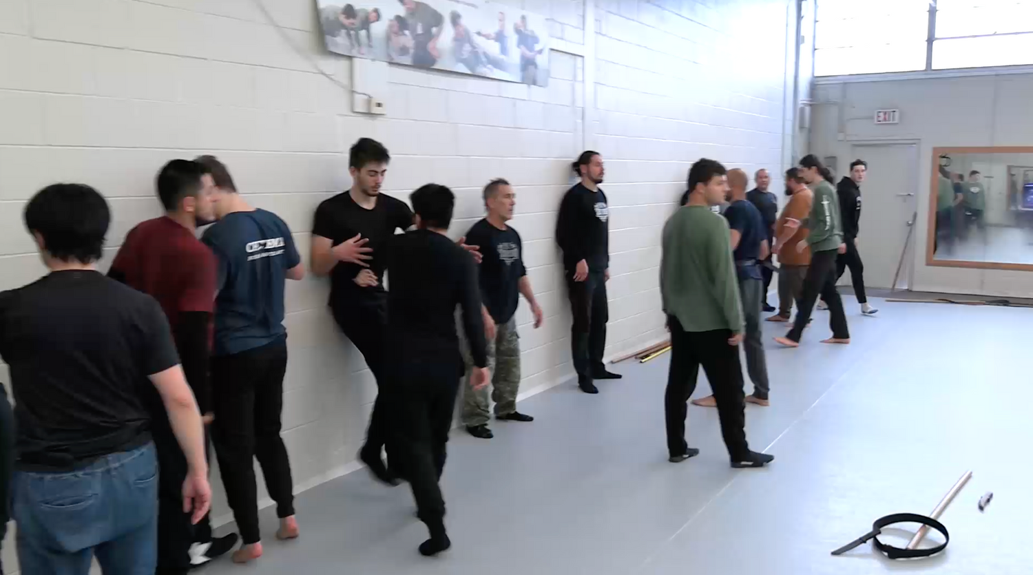 Systema Concise Movement DVD by Vladimir Vasiliev