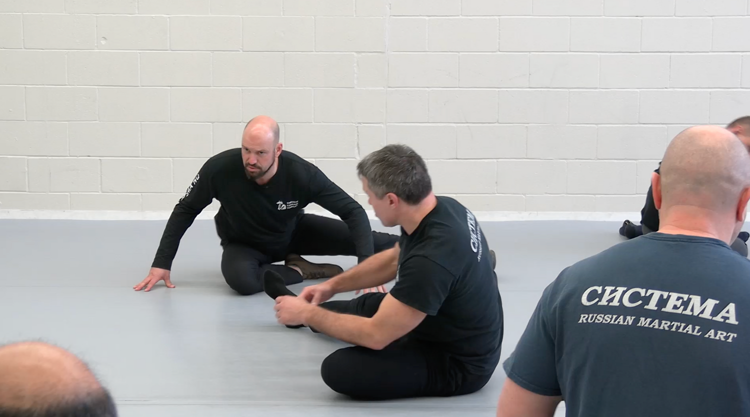 Systema: Legs: Combative Awareness DVD by Patrick Van Het Nederend