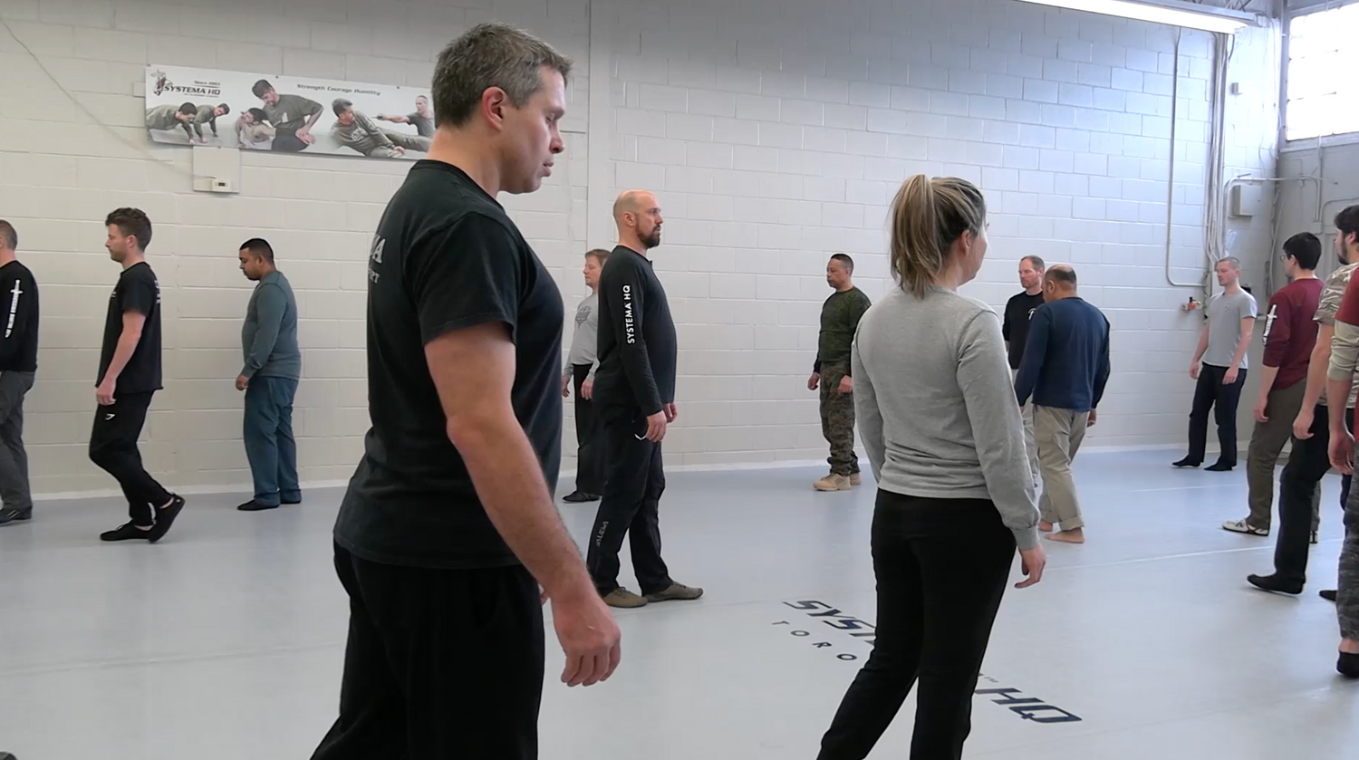 Systema: Legs: Combative Awareness DVD by Patrick Van Het Nederend