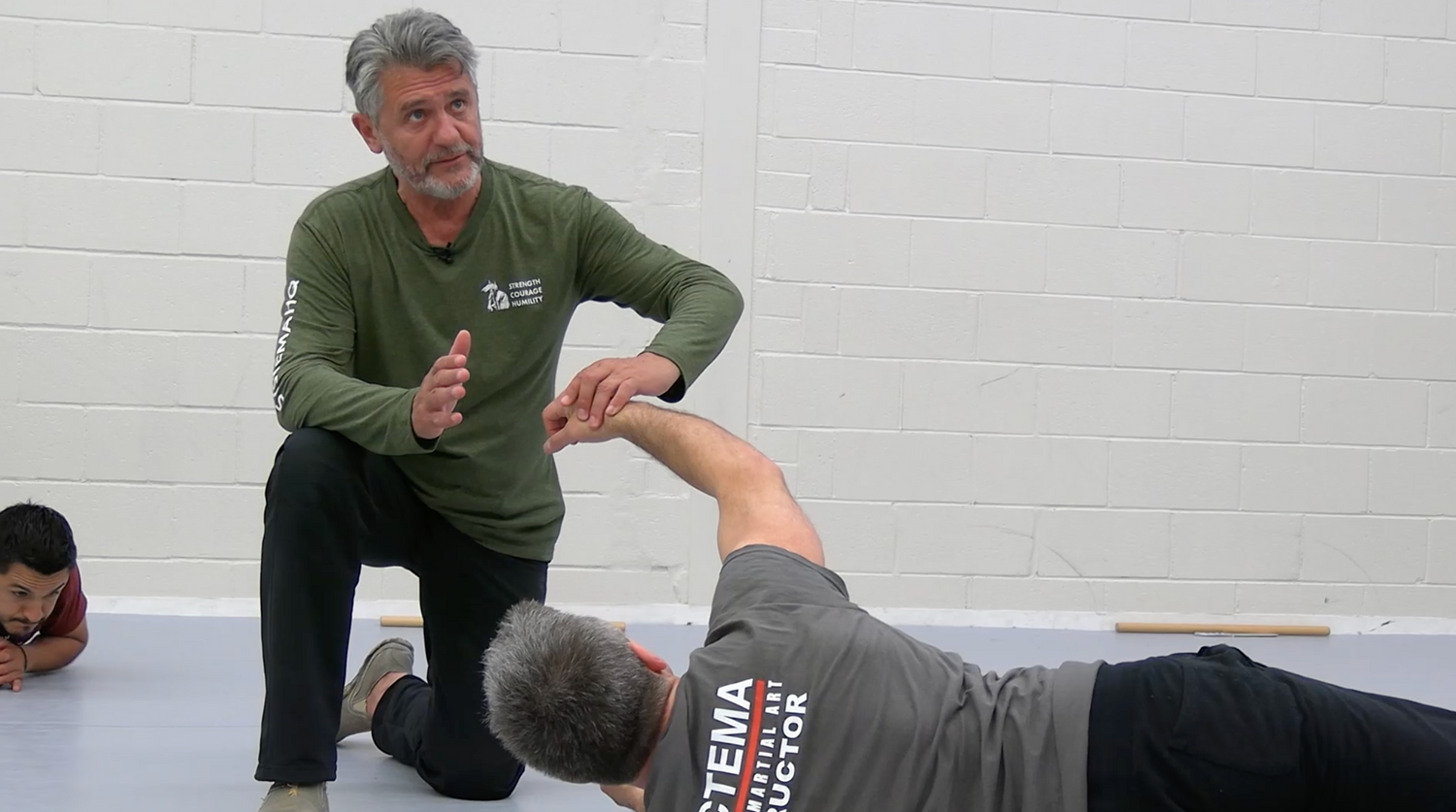 Systema: Fear 2 DVD by Vladimir Vasiliev