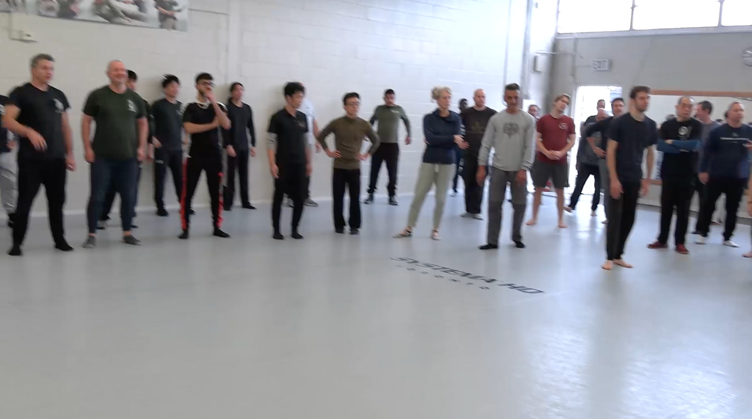 Systema: Tension and Impact DVD by Ryo Onishi