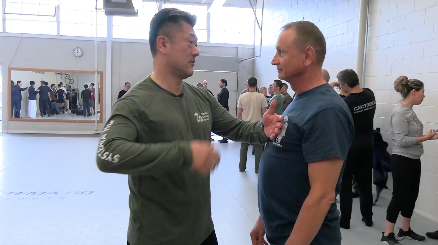 Systema: Tension and Impact DVD by Ryo Onishi