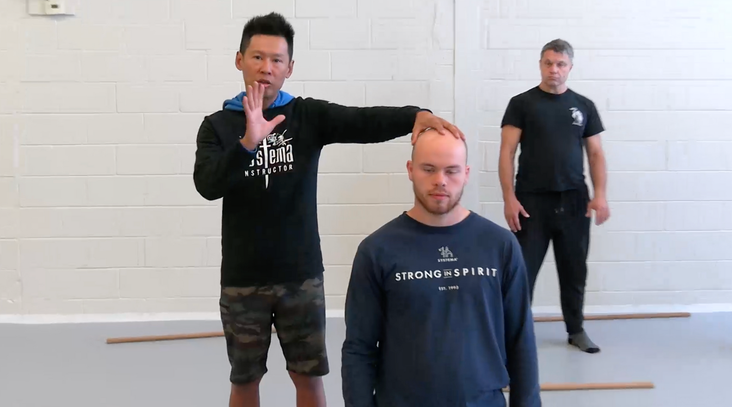 Systema: Sensitivity: Hands & Fingers DVD by Hoy Chan