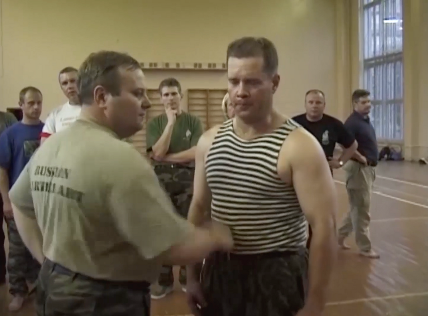 Systema: Fist of Stone DVD by Mikhail Ryabko