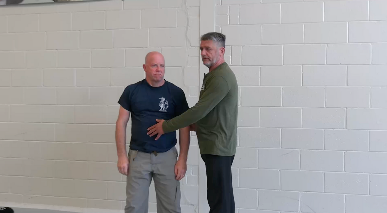 Systema: Prepare for Strikes DVD by Vladimir Vasiliev