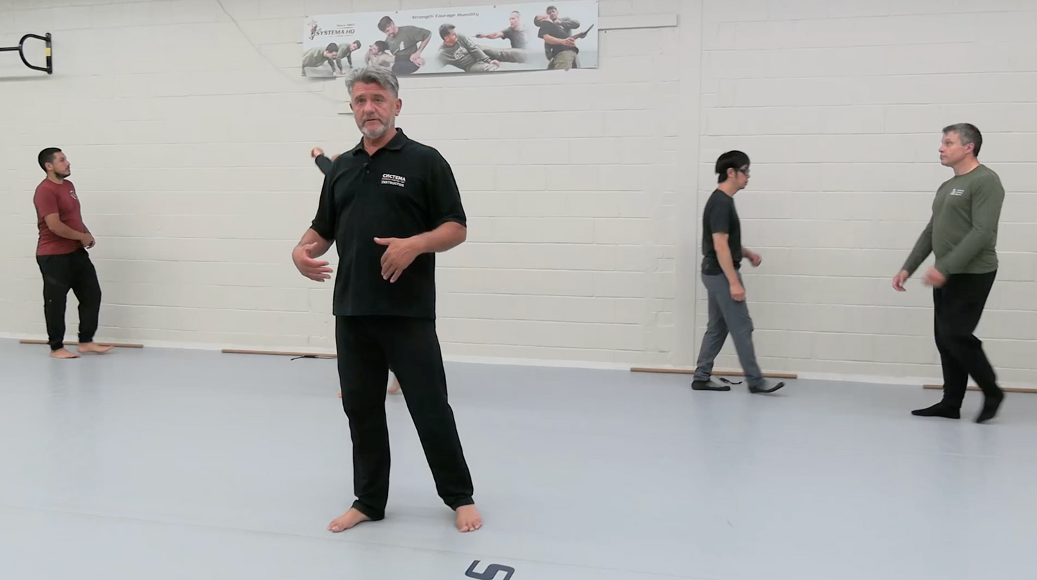 Systema: Fight Like You Walk DVD by Vladimir Vasiliev