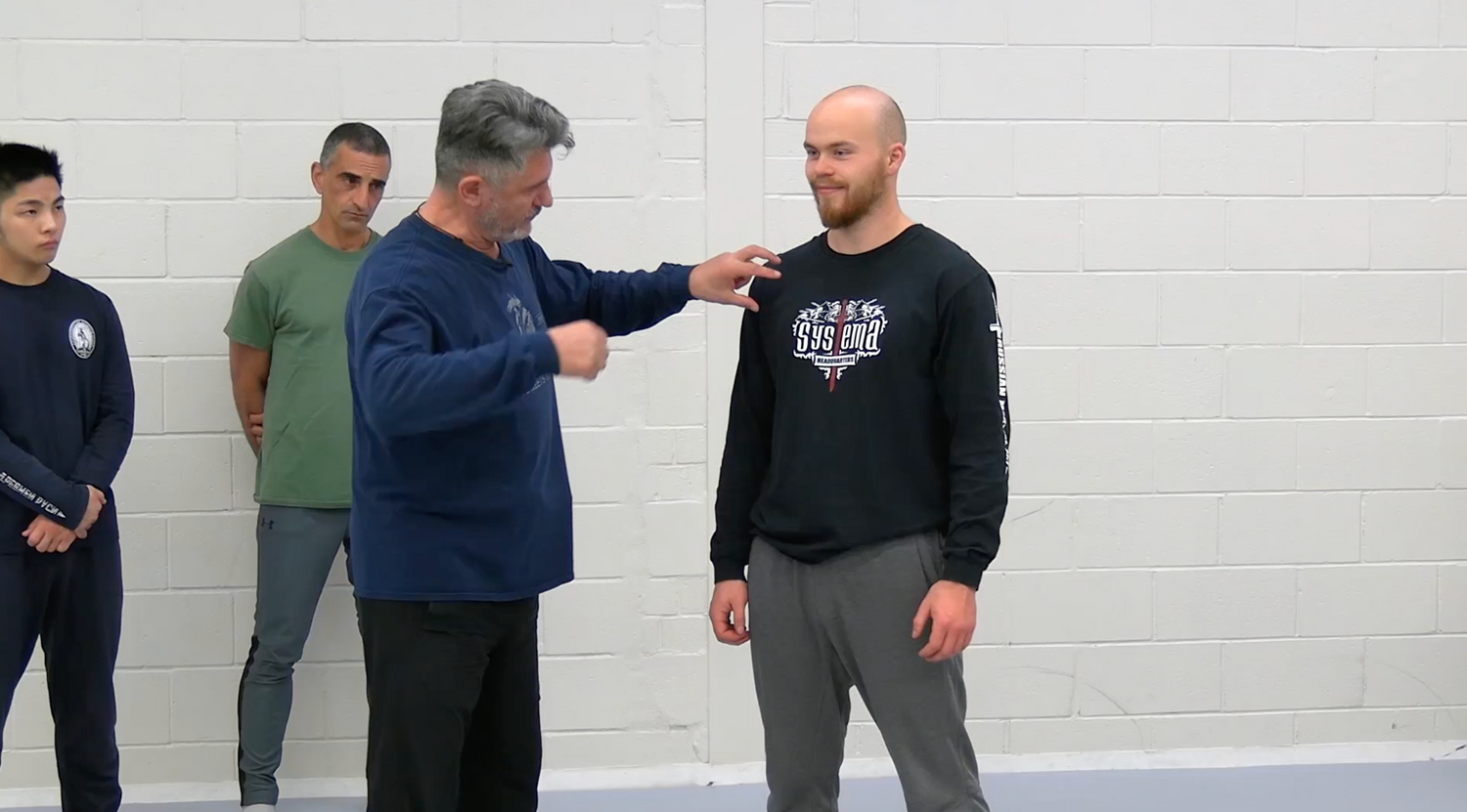 Systema: Fight Like You Walk DVD by Vladimir Vasiliev