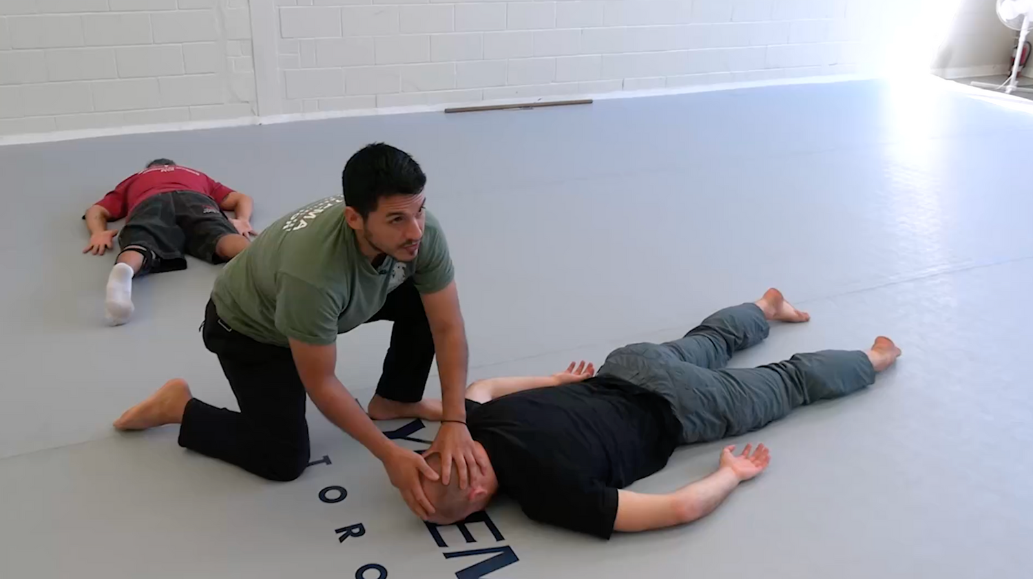 Systema: Pain Management DVD by Eric Torres