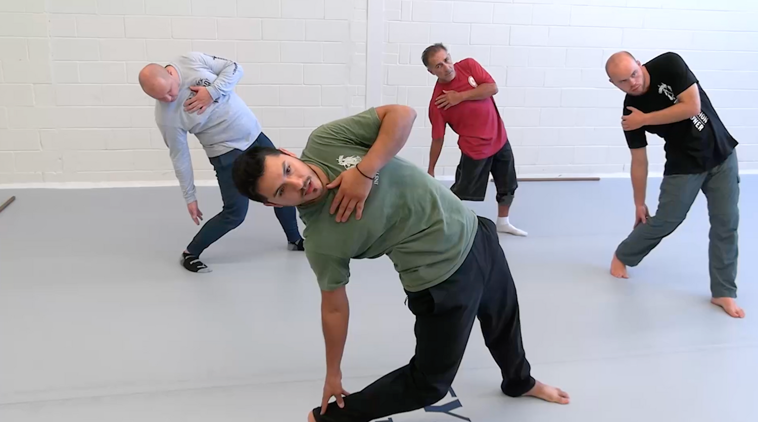 Systema: Pain Management DVD by Eric Torres