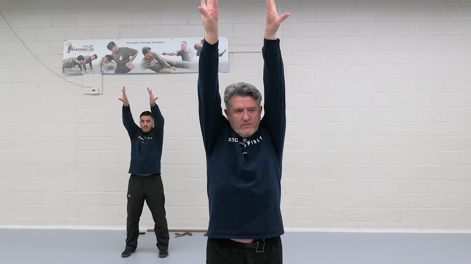 Systema: Heal the Shoulders, Elbows, Hips DVD by Vladimir Vasiliev