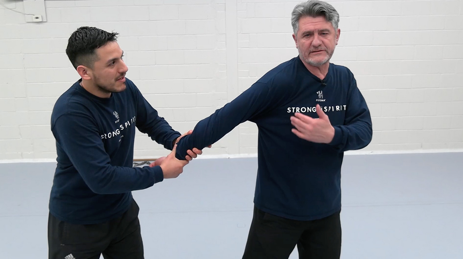 Systema: Heal the Shoulders, Elbows, Hips DVD by Vladimir Vasiliev