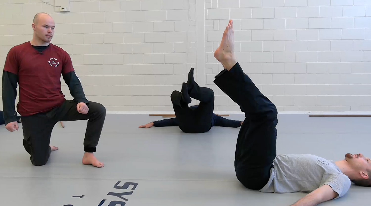 Systema Smooth & Powerful Movement DVD by Stephen Dietrich