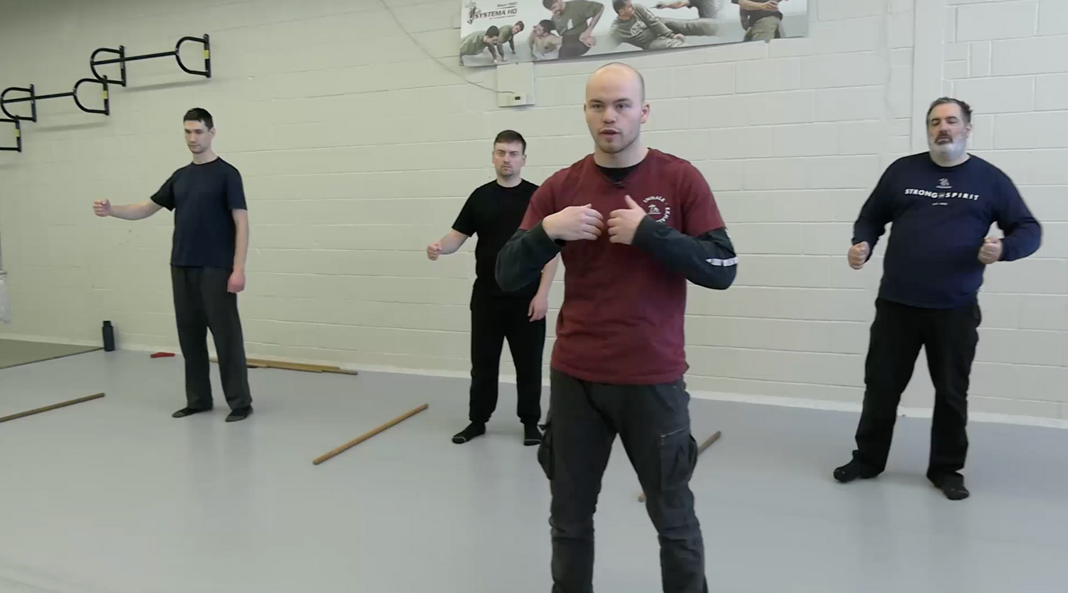 Systema Smooth & Powerful Movement DVD by Stephen Dietrich