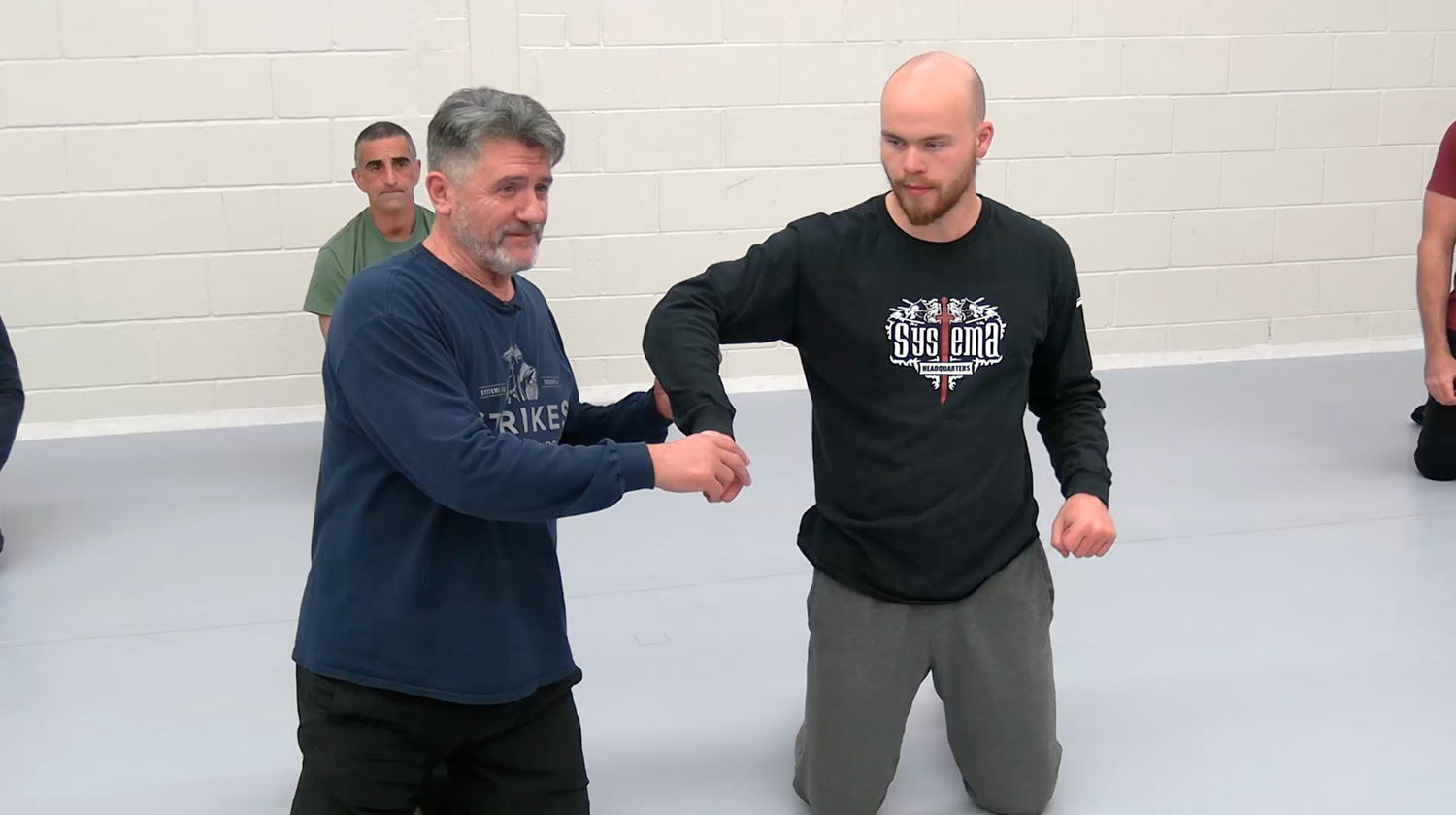 Systema Build Your Strike DVD by Vladimir Vasiliev