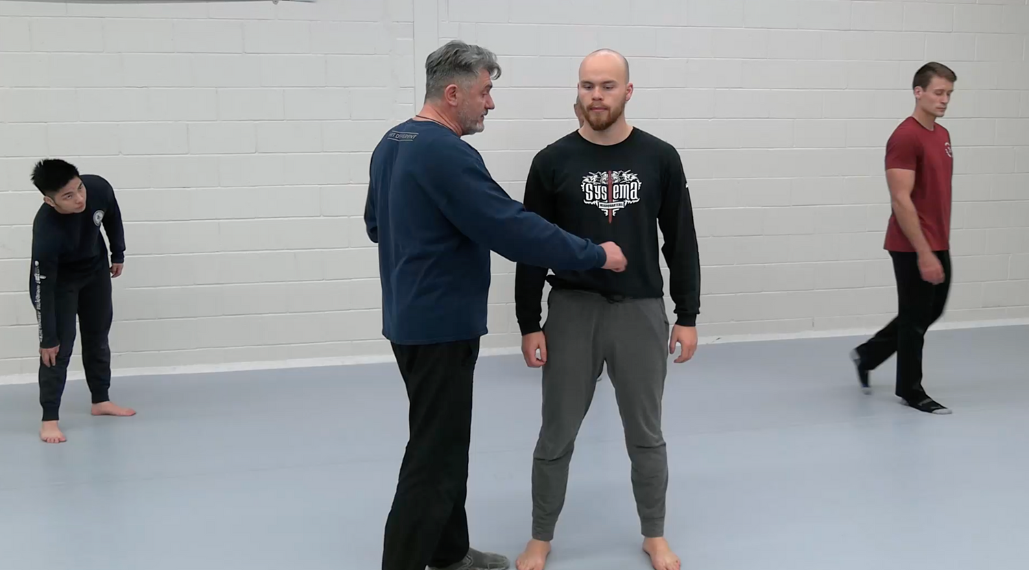 Systema Build Your Strike DVD by Vladimir Vasiliev