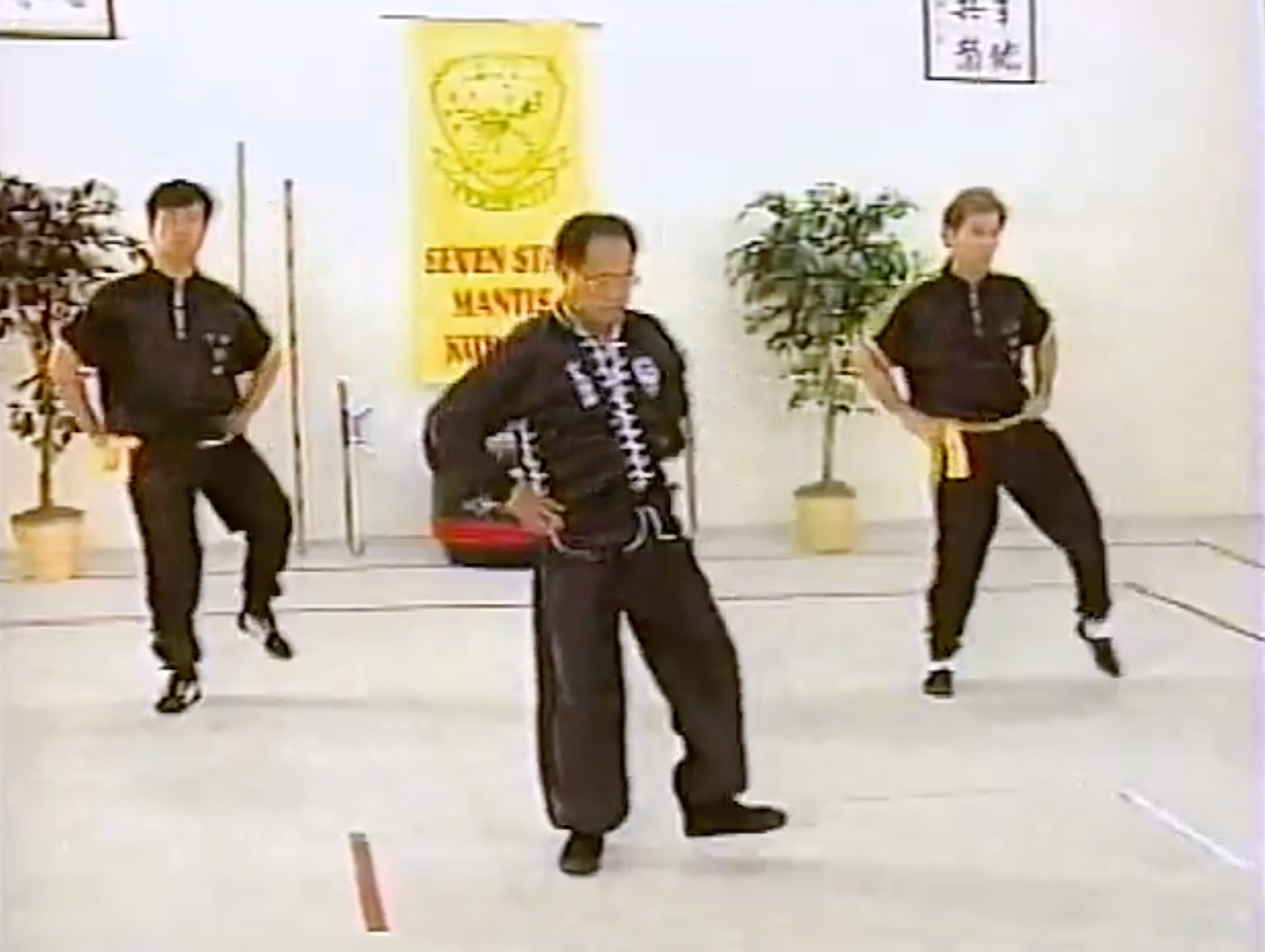 Northern Mantis Kung Fu 3 DVD Set by Lee Kam Wing