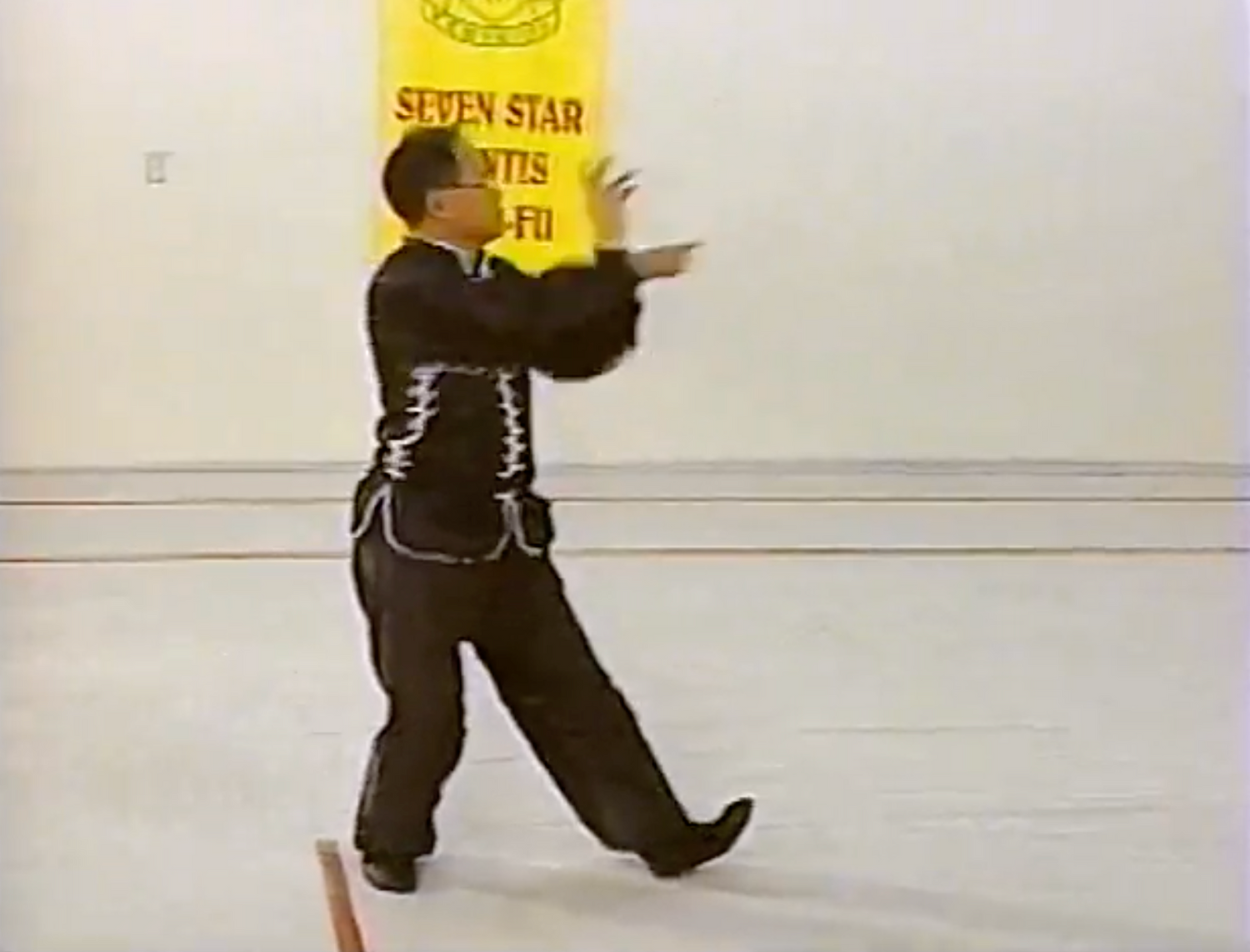 Northern Mantis Kung Fu 3 DVD Set by Lee Kam Wing