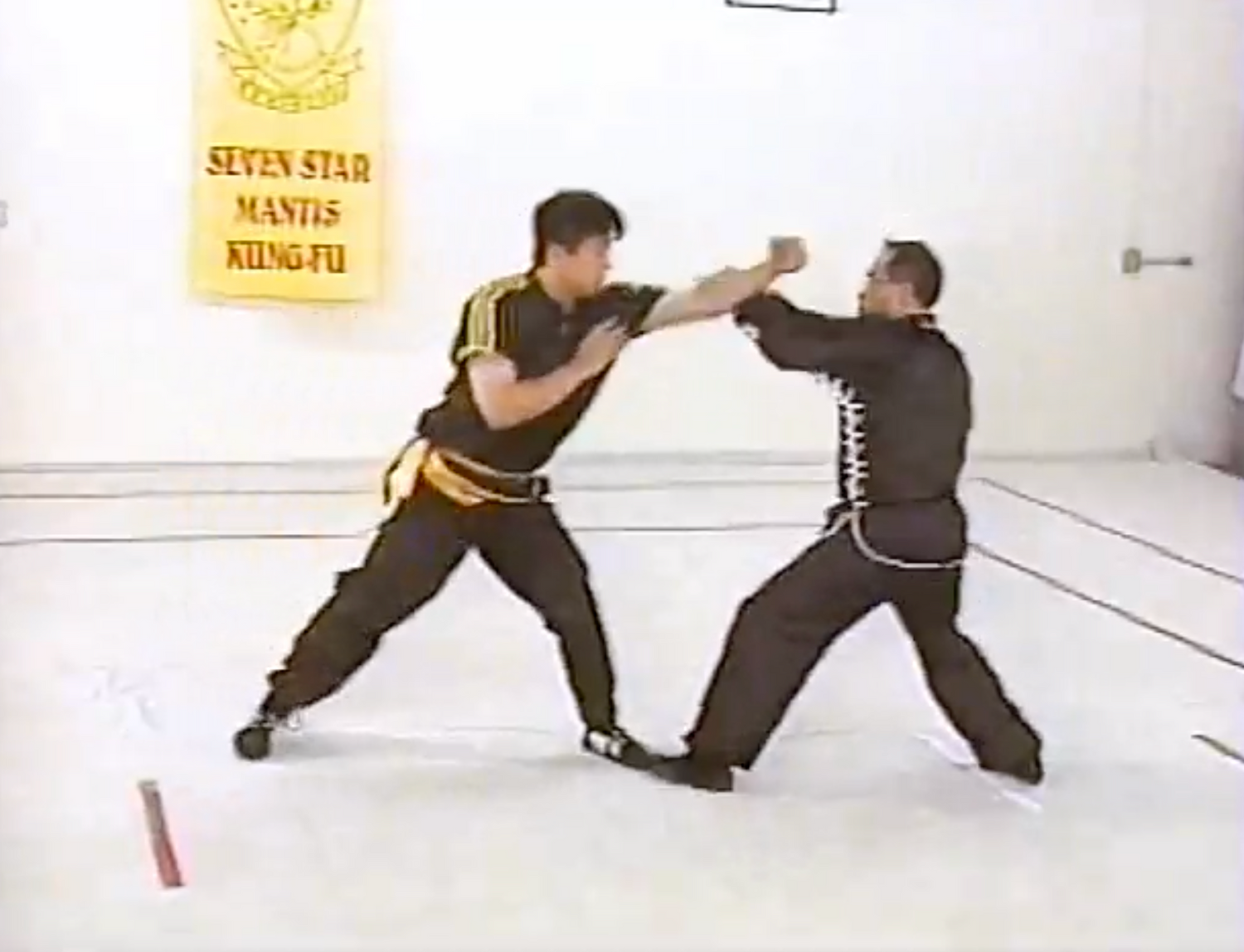 Northern Mantis Kung Fu 3 DVD Set by Lee Kam Wing