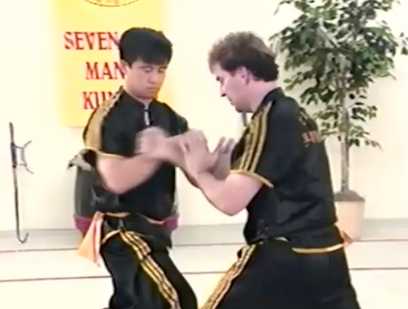 Northern Mantis Kung Fu 3 Vol Series (On Demand)