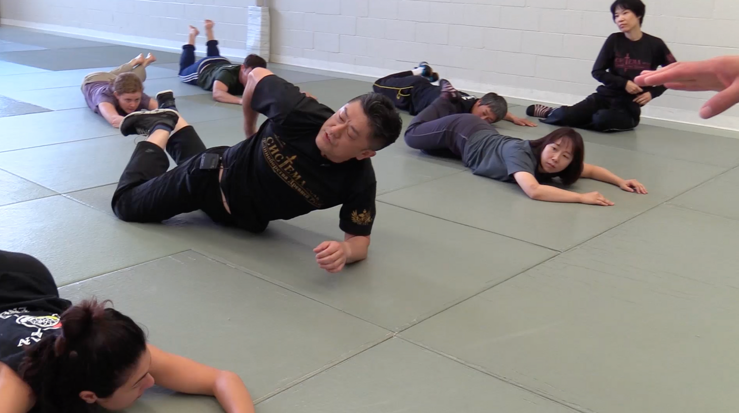 Systema: From Relaxation to Power DVD by Ryoichi Onishi