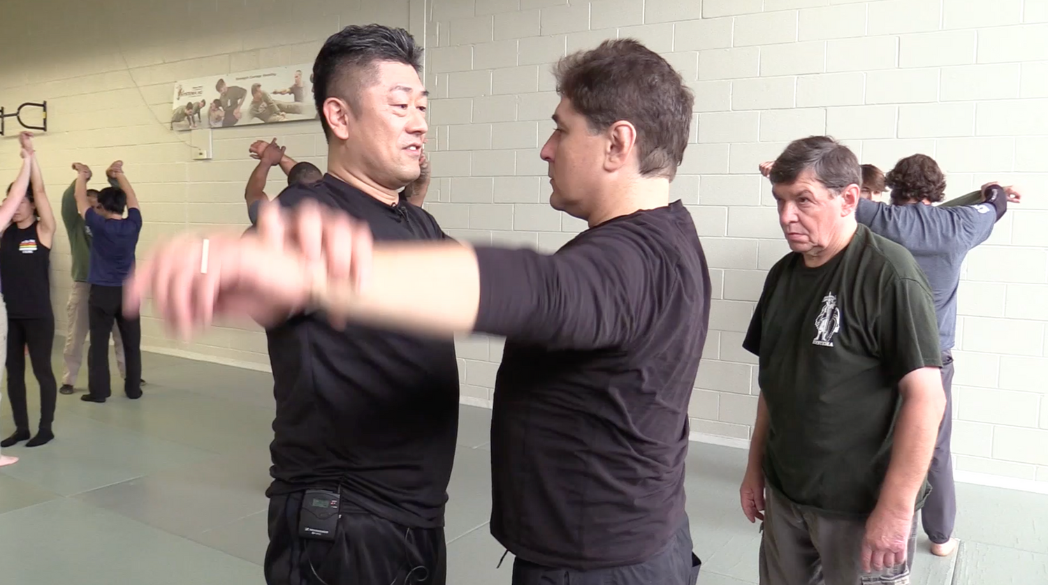 Systema: From Relaxation to Power DVD by Ryoichi Onishi