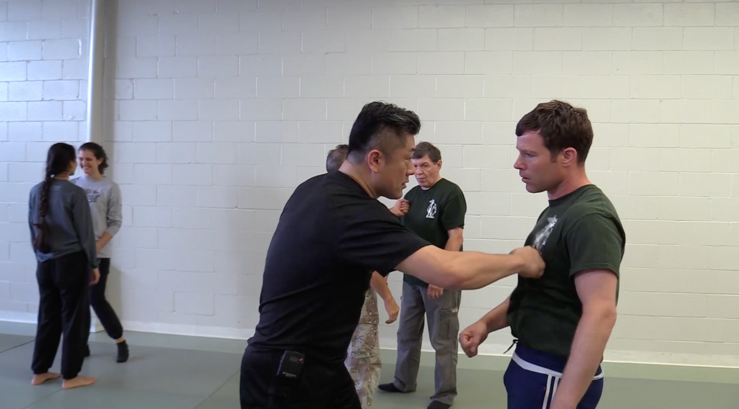 Systema: From Relaxation to Power DVD by Ryoichi Onishi