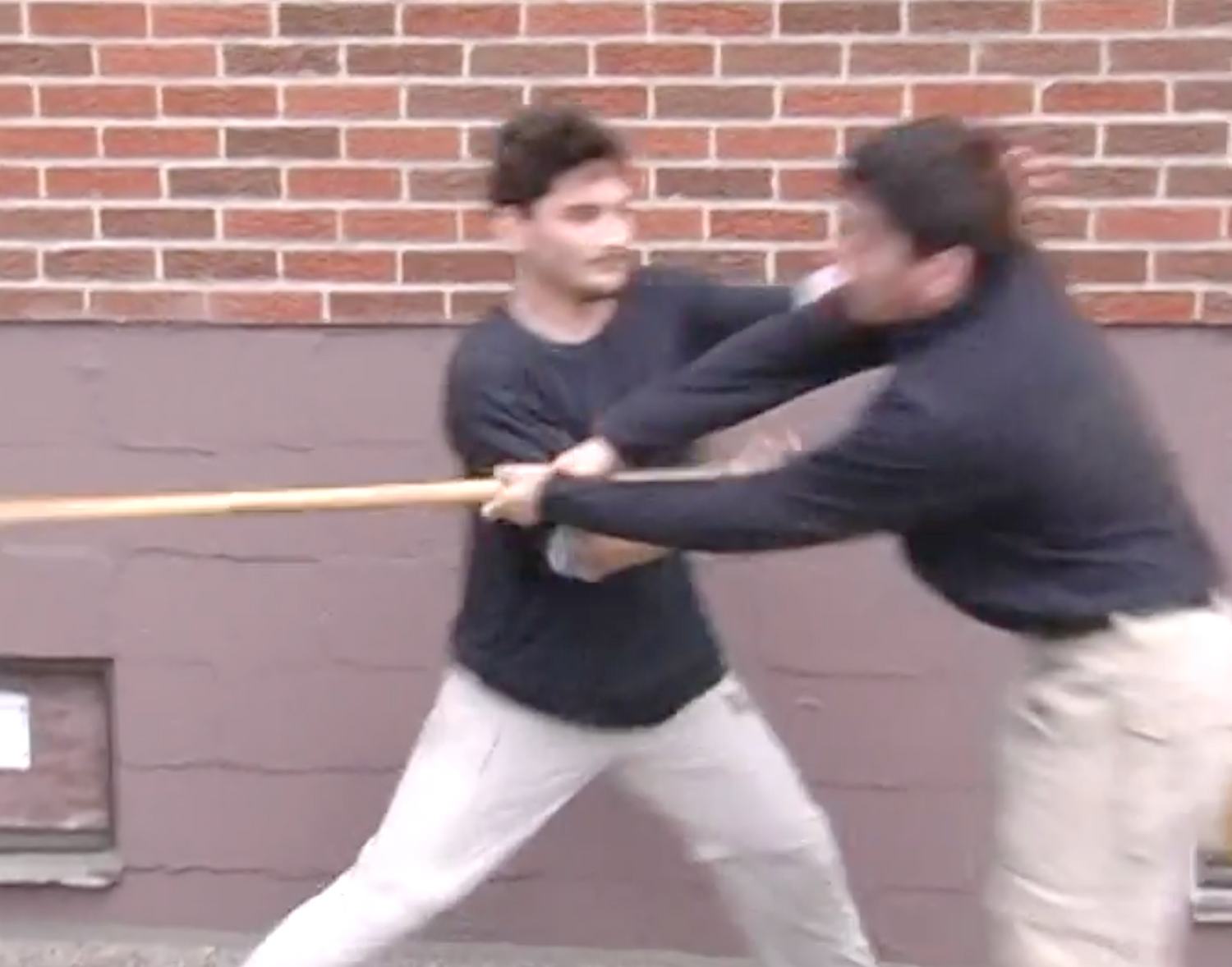 Systema: Russian Stick Combat Vol 1 Defense DVD by Vladimir Vasiliev