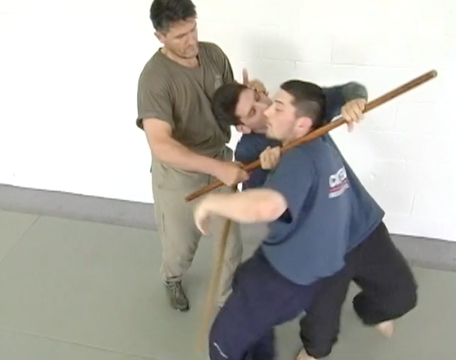 Systema: Russian Stick Combat Vol 1 Defense DVD by Vladimir Vasiliev